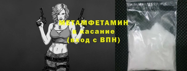 мет Алексин