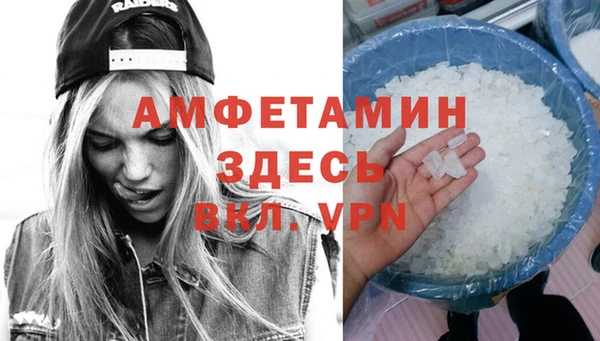 мет Алексин