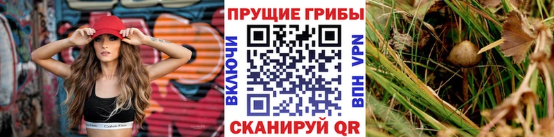 Псилоцибиновые грибы прущие грибы Томилино